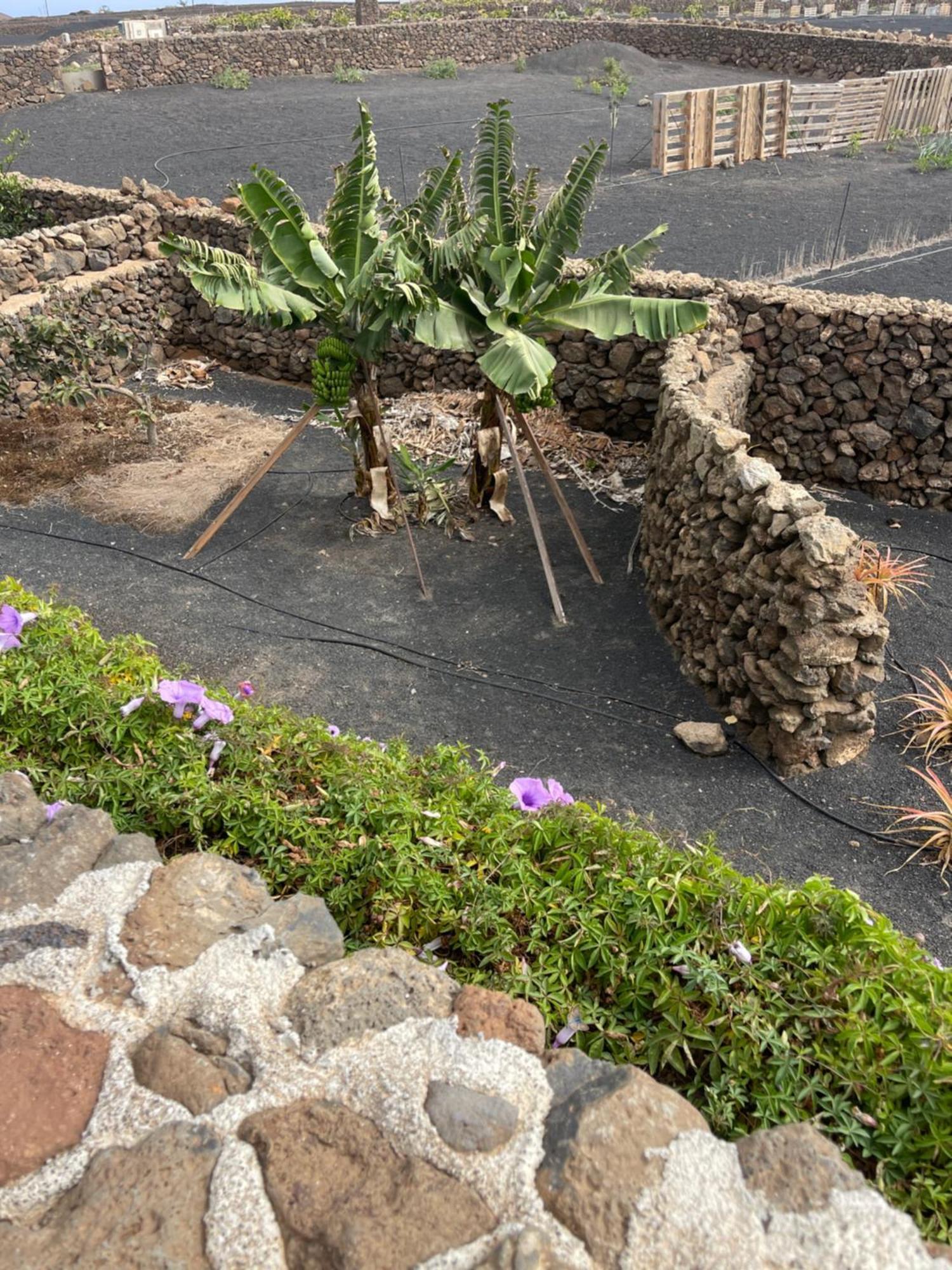 Villa Timanfaya Tinajo Exterior photo