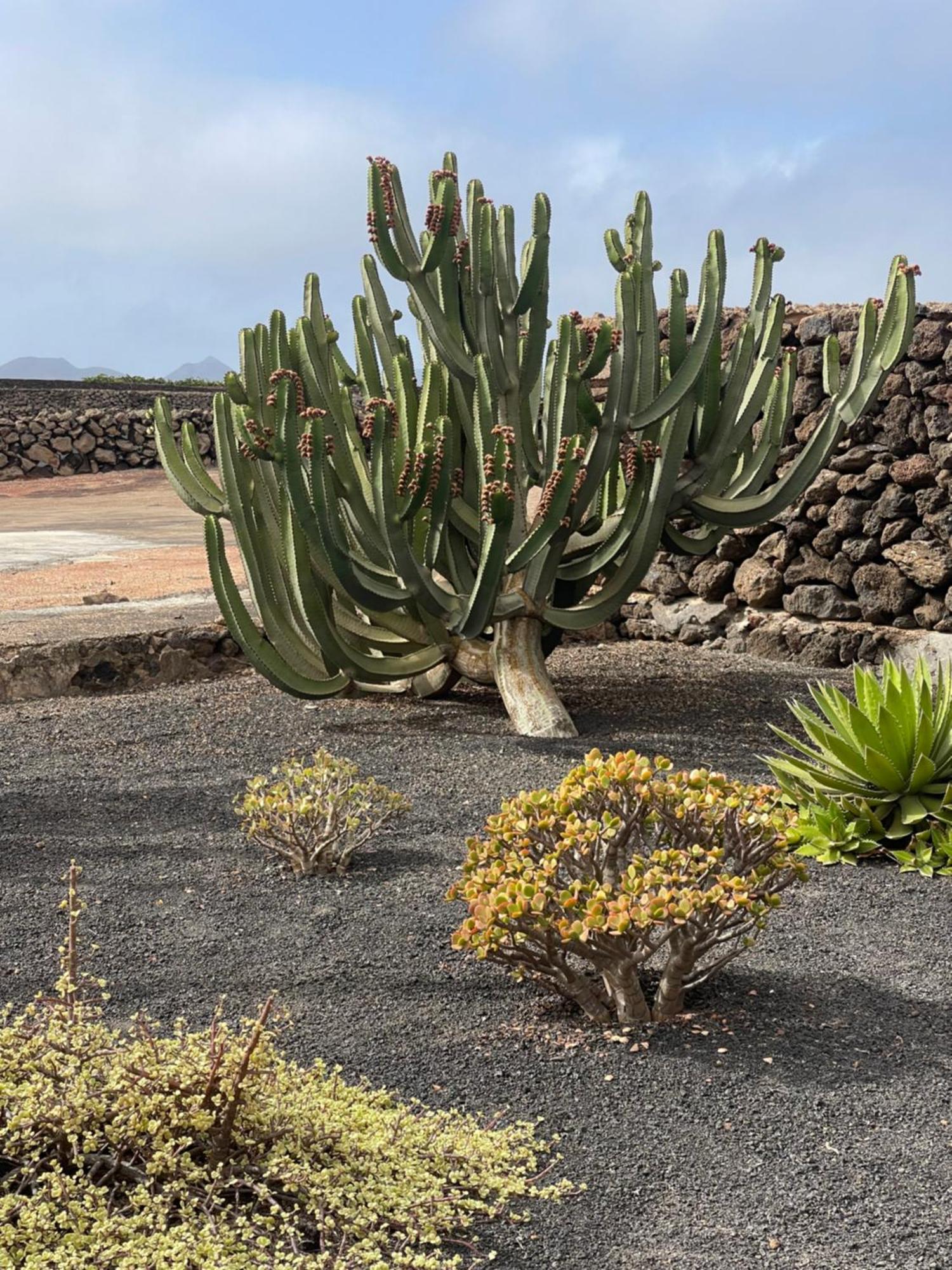 Villa Timanfaya Tinajo Exterior photo